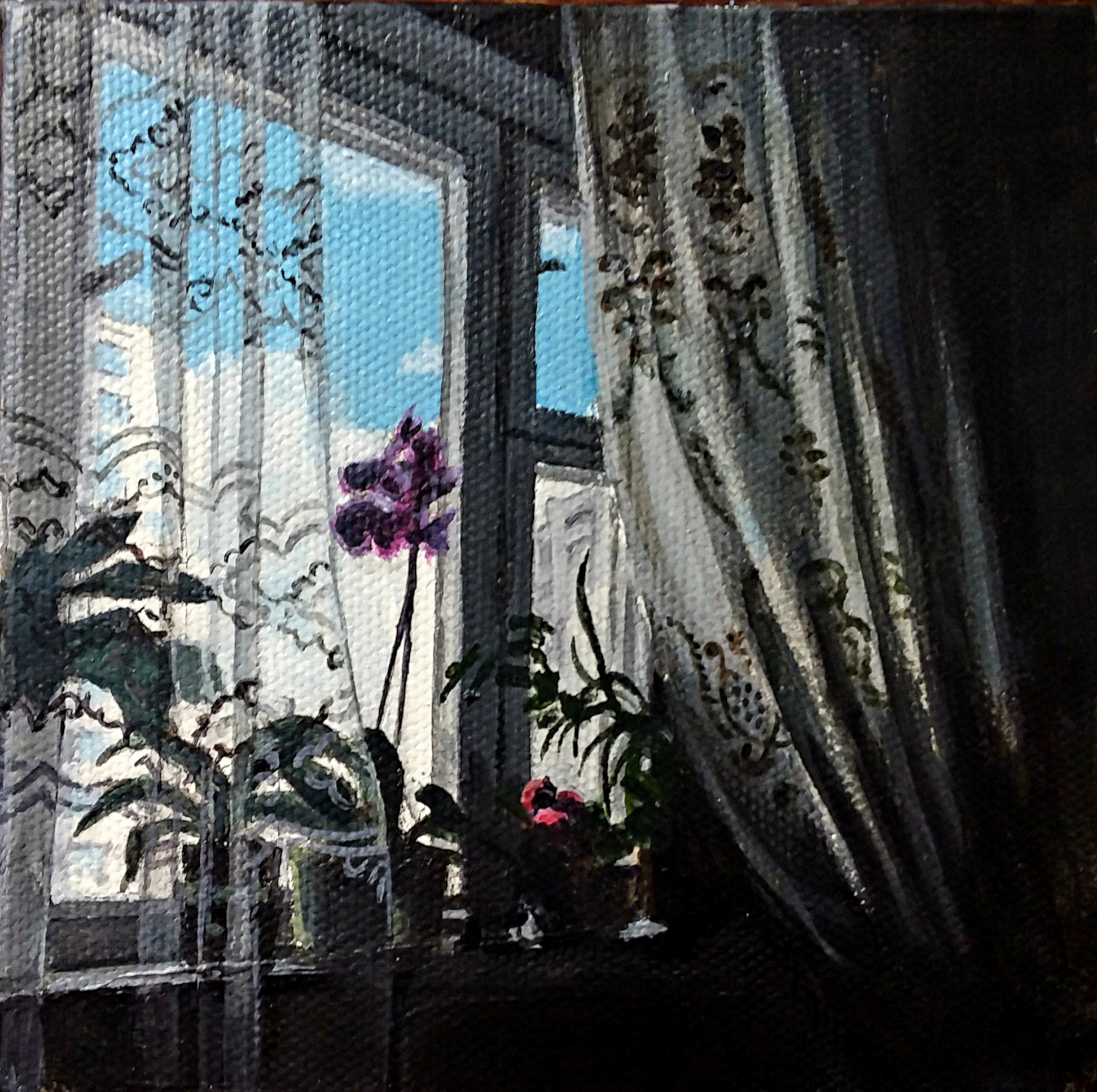 Window